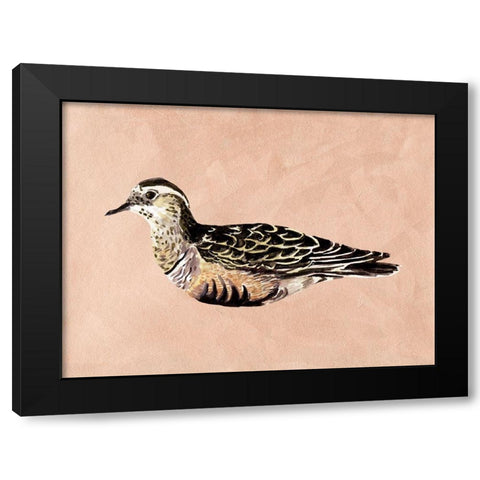 Feathered Friend III Black Modern Wood Framed Art Print with Double Matting by Wang, Melissa