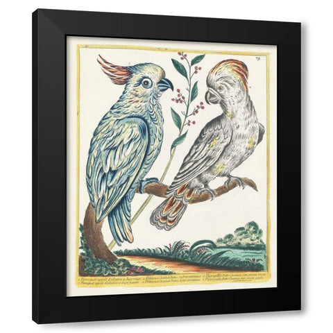 Pastel Birds I Black Modern Wood Framed Art Print with Double Matting by Unknown