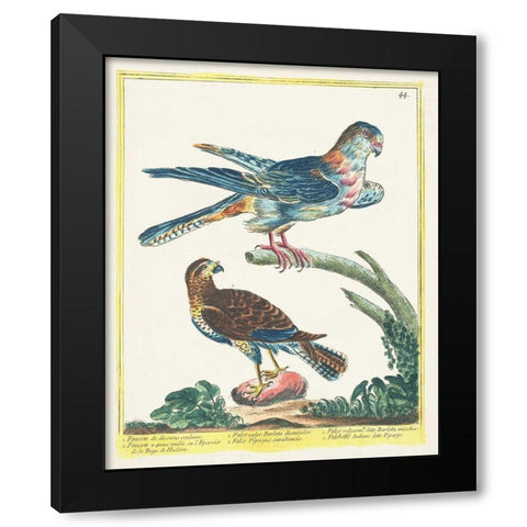 Pastel Birds III Black Modern Wood Framed Art Print with Double Matting by Unknown