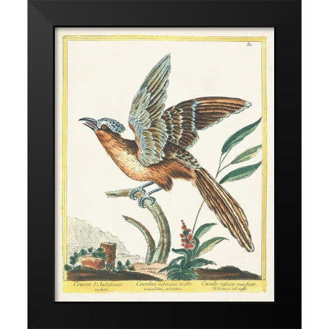 Pastel Birds IV Black Modern Wood Framed Art Print by Unknown
