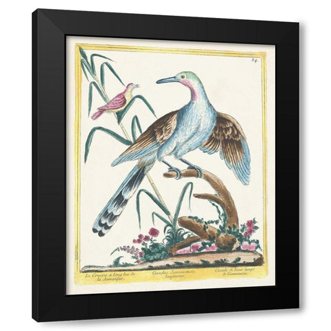 Pastel Birds V Black Modern Wood Framed Art Print by Unknown