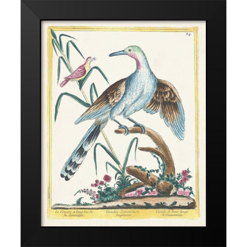 Pastel Birds V Black Modern Wood Framed Art Print by Unknown
