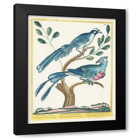 Pastel Birds VI Black Modern Wood Framed Art Print by Unknown