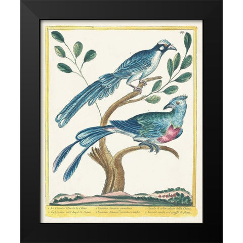 Pastel Birds VI Black Modern Wood Framed Art Print by Unknown