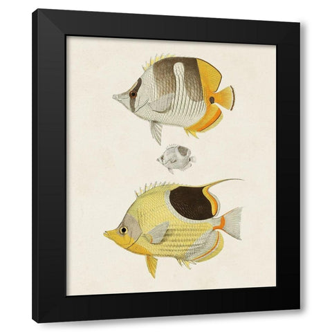 Yellow And Grey Fish II Black Modern Wood Framed Art Print by Unknown