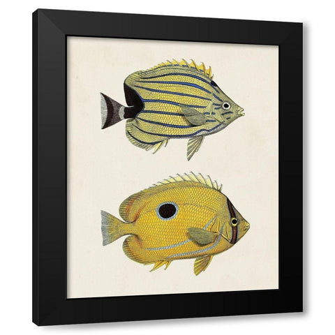 Yellow And Grey Fish III Black Modern Wood Framed Art Print by Unknown