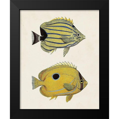Yellow And Grey Fish III Black Modern Wood Framed Art Print by Unknown