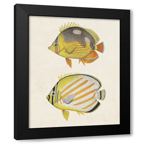 Yellow And Grey Fish IV Black Modern Wood Framed Art Print with Double Matting by Unknown