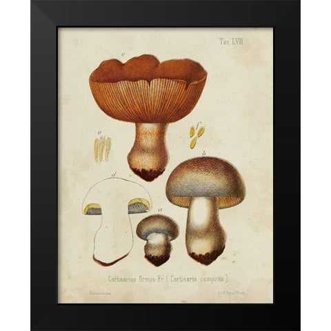 Mushroom Varieties I Black Modern Wood Framed Art Print by Unknown