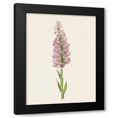 Mauve Garden Flowers I Black Modern Wood Framed Art Print with Double Matting by Unknown