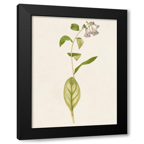 Mauve Garden Flowers IV Black Modern Wood Framed Art Print by Unknown