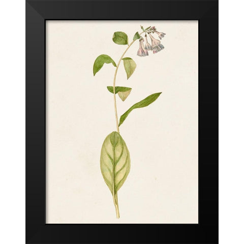 Mauve Garden Flowers IV Black Modern Wood Framed Art Print by Unknown