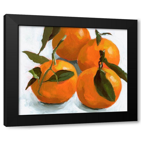 Citrus Grouping II Black Modern Wood Framed Art Print with Double Matting by Barnes, Victoria