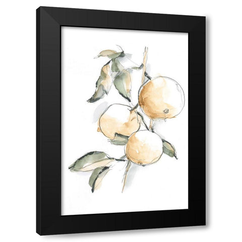 Watercolor Fruit Contour II Black Modern Wood Framed Art Print with Double Matting by Harper, Ethan