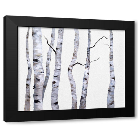 Birch Trees I Black Modern Wood Framed Art Print with Double Matting by Finch, Sheila