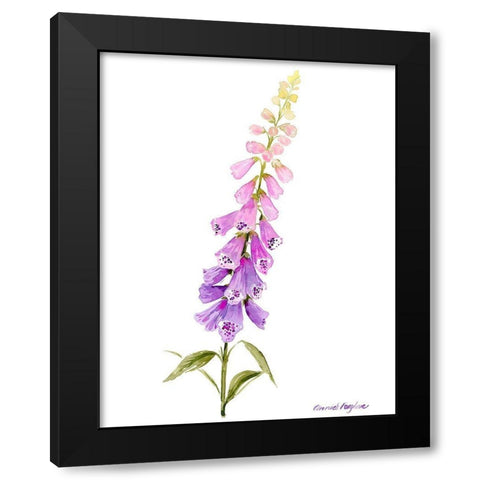 Annies Foxglove I Black Modern Wood Framed Art Print with Double Matting by Popp, Grace