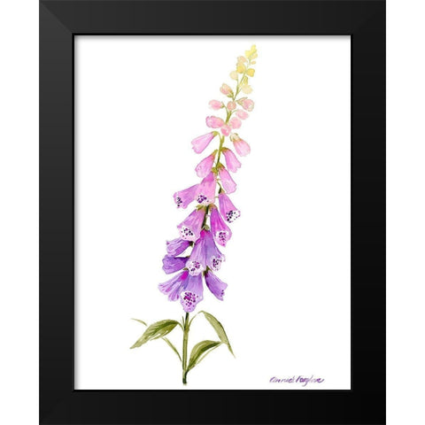 Annies Foxglove I Black Modern Wood Framed Art Print by Popp, Grace