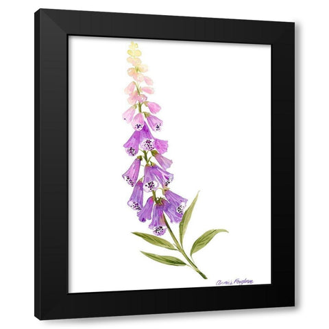 Annies Foxglove II Black Modern Wood Framed Art Print with Double Matting by Popp, Grace