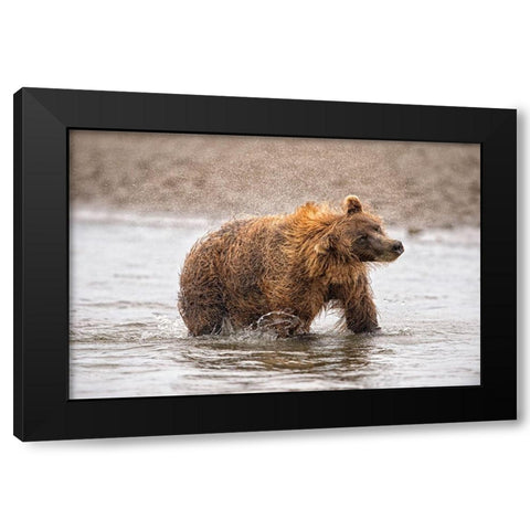 Photography Study Shake it Off Black Modern Wood Framed Art Print with Double Matting by PHBurchett