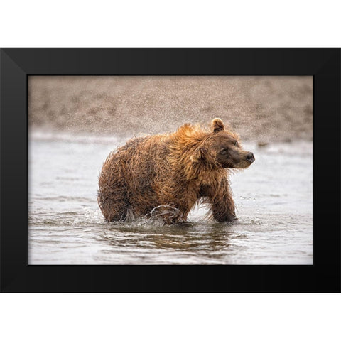 Photography Study Shake it Off Black Modern Wood Framed Art Print by PHBurchett