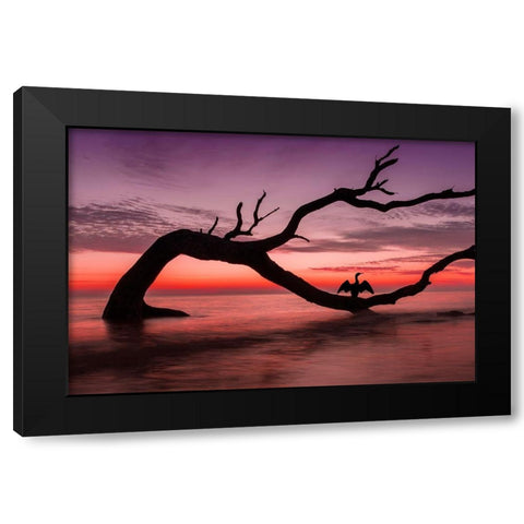 Photography Study Sunset Beach Black Modern Wood Framed Art Print by PHBurchett