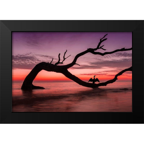 Photography Study Sunset Beach Black Modern Wood Framed Art Print by PHBurchett