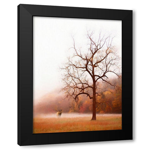 Photography Study Elk in the Mist Black Modern Wood Framed Art Print with Double Matting by PHBurchett