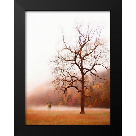 Photography Study Elk in the Mist Black Modern Wood Framed Art Print by PHBurchett
