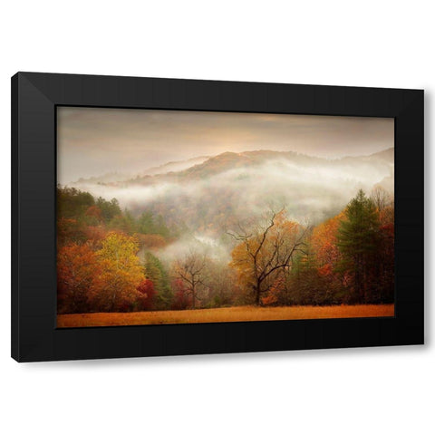 Photography Study Autumn Mist Black Modern Wood Framed Art Print by PHBurchett