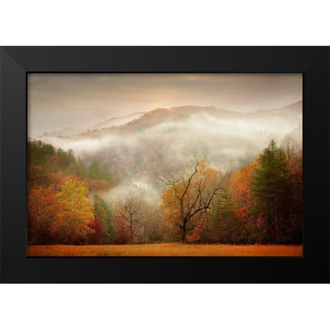 Photography Study Autumn Mist Black Modern Wood Framed Art Print by PHBurchett