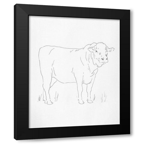 Limousin Cattle I Black Modern Wood Framed Art Print with Double Matting by Green, Jacob
