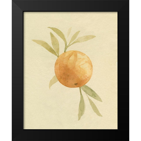 Dappled Oranges I Black Modern Wood Framed Art Print by Caroline, Emma