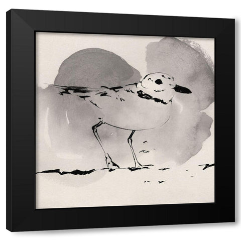 Inky Plover I Black Modern Wood Framed Art Print with Double Matting by Green, Jacob