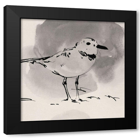 Inky Plover III Black Modern Wood Framed Art Print with Double Matting by Green, Jacob