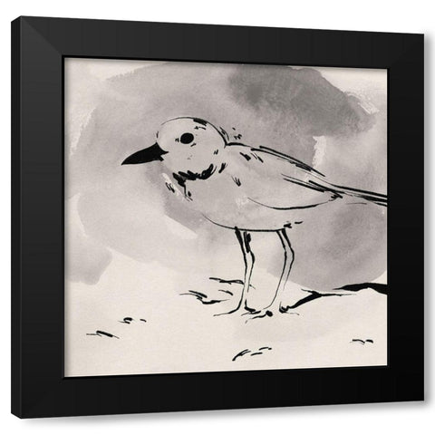 Inky Plover IV Black Modern Wood Framed Art Print with Double Matting by Green, Jacob