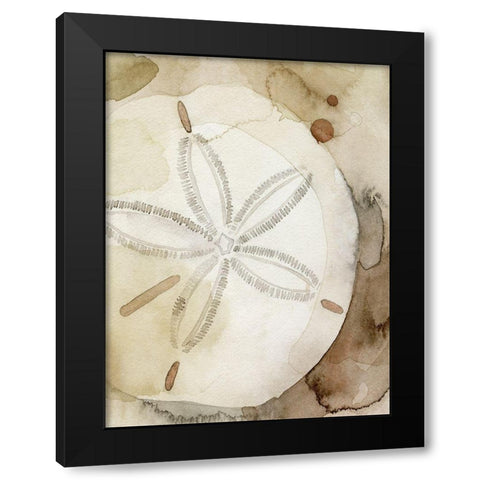 Dry Sand Dollar I Black Modern Wood Framed Art Print with Double Matting by Popp, Grace