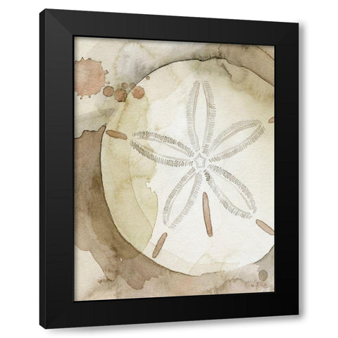 Dry Sand Dollar II Black Modern Wood Framed Art Print with Double Matting by Popp, Grace