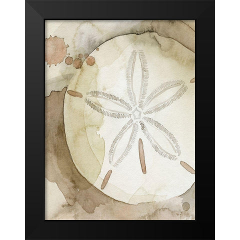 Dry Sand Dollar II Black Modern Wood Framed Art Print by Popp, Grace