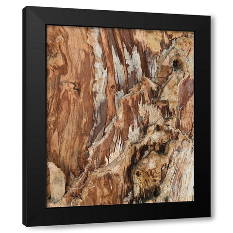Tree Texture Triptych I Black Modern Wood Framed Art Print by Stelfox, Norm