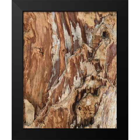 Tree Texture Triptych I Black Modern Wood Framed Art Print by Stelfox, Norm