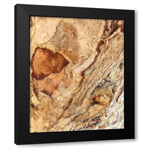 Tree Texture Triptych II Black Modern Wood Framed Art Print by Stelfox, Norm