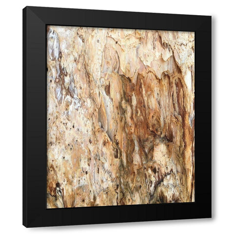 Tree Texture Triptych III Black Modern Wood Framed Art Print with Double Matting by Stelfox, Norm