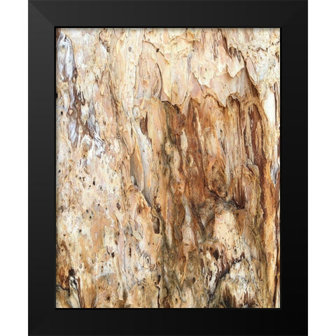 Tree Texture Triptych III Black Modern Wood Framed Art Print by Stelfox, Norm