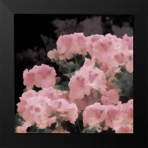 Blush Rush I Black Modern Wood Framed Art Print by Saunders, Alonzo