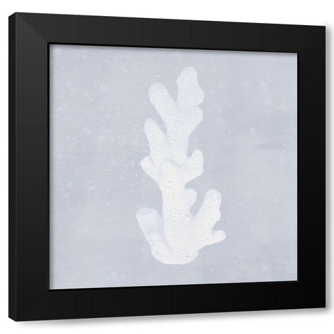 Tide Pool Treasures IV Black Modern Wood Framed Art Print with Double Matting by Barnes, Victoria