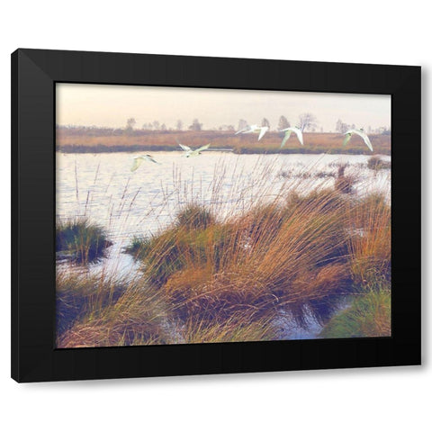 Marshland Hues I Black Modern Wood Framed Art Print by Hunziker, Steve