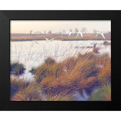 Marshland Hues I Black Modern Wood Framed Art Print by Hunziker, Steve