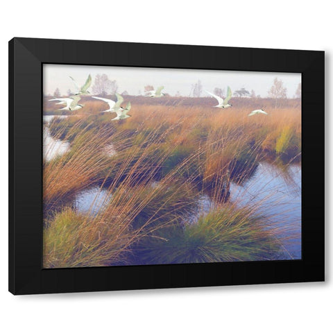 Marshland Hues II Black Modern Wood Framed Art Print with Double Matting by Hunziker, Steve