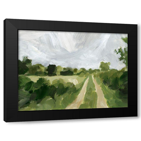 Meadow Trail II Black Modern Wood Framed Art Print by Barnes, Victoria