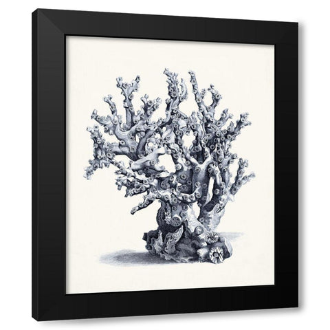 Blue Antique Coral II Black Modern Wood Framed Art Print with Double Matting by Vision Studio